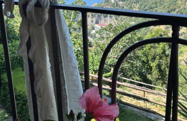 Agriturismo Orrido di Pino - Foto 47