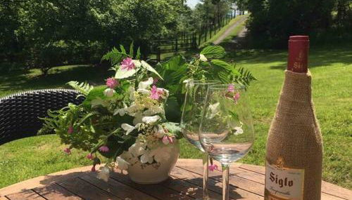 Beautiful Garden Cottage, close to Llandeilo. - Foto 3, Garden, Garden view