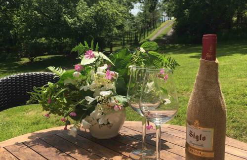 Beautiful Garden Cottage, close to Llandeilo. - Photo 3