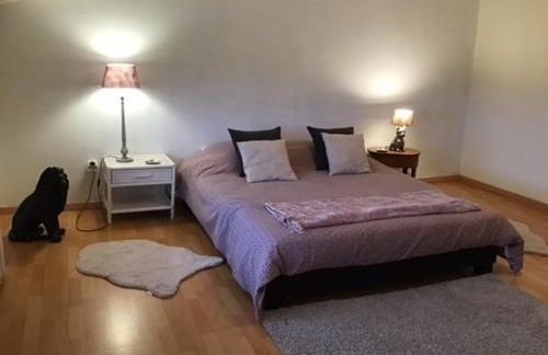 La chollerie de Marmaju - Foto 19