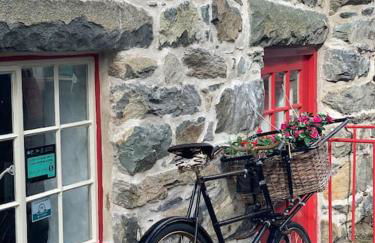 Love Lane Cottage Dolgellau - Foto 20