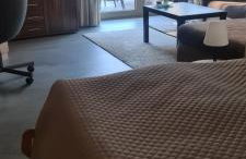 Gästewohnung direkt an der Wallmauer - Foto 32