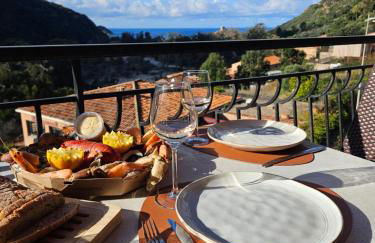 T2 vue mer & montagne Golfe de Porto-Ota - Foto 3