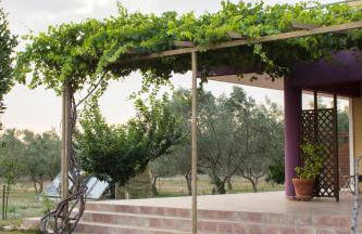 Ktima Anastasia - Foto 51