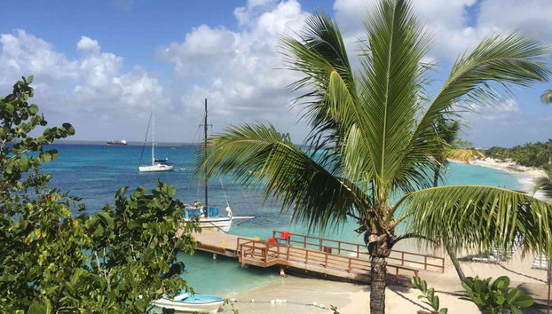 Snorkeling adventure at Catalina Island Juan - Full-Day Tour - Foto 3