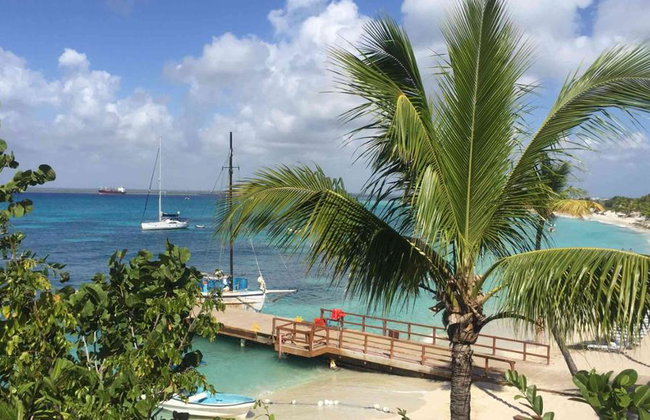 Snorkeling adventure at Catalina Island Juan - Full-Day Tour - Foto 3