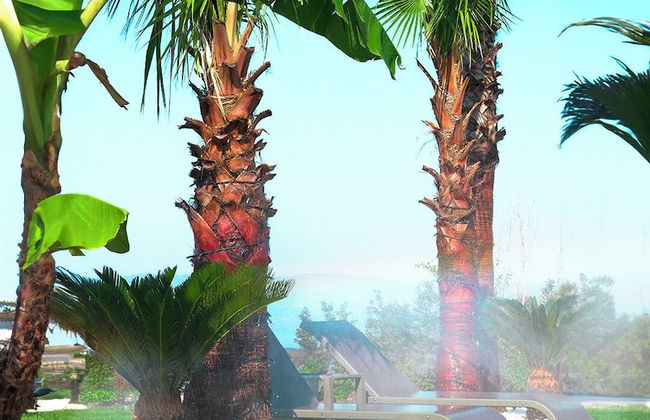 Sapanca Sunset Villas - Foto 4