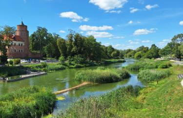 Loft Apartments Uniejów - Foto 26