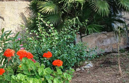 Tip-Top apartments - Foto 42