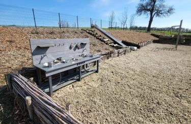 Stary Dom nad Wrześnicą - Foto 69