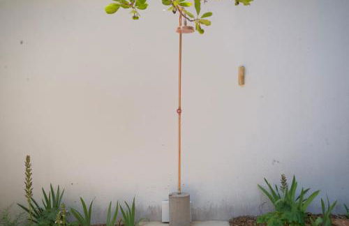 l'Amarantine - Foto 24