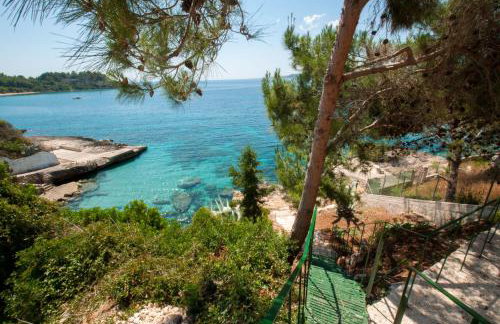 Studios Angeliki - Photo 22