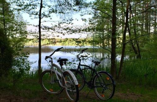 Sosnowy Zakatek - Foto 47