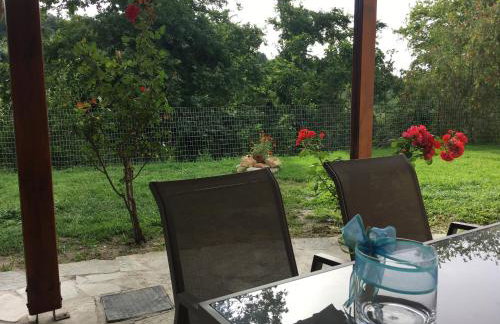 Physis Rental Estate - Foto 16