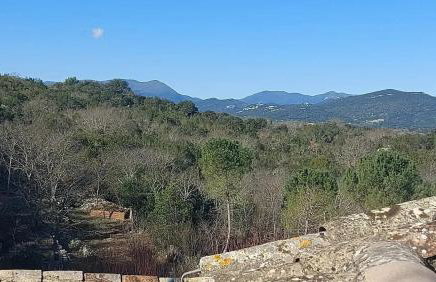 Appartement dans la ville médiévale de Sauve avec terrasse - Foto 9