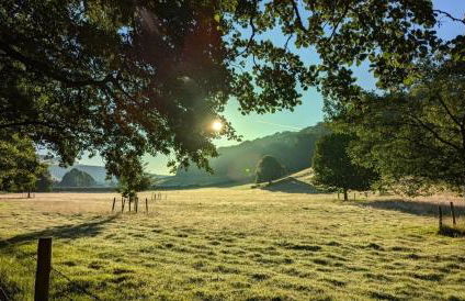 Grade 2 listed cottage near Dalby Forest - Thornton Le Dale - Foto 37