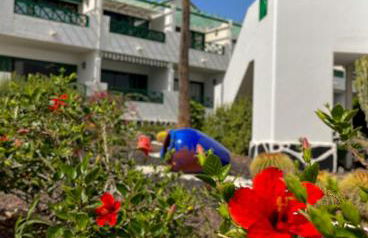 Beautiful Apartment Aguycan Beach 120 Playa del Aguila Maspalomas Gran Canaria - Foto 33