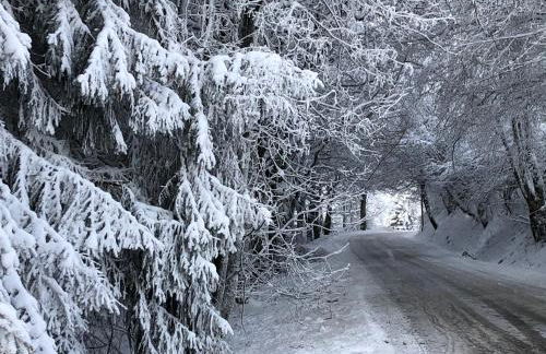 Fennies Hütte - Foto 55