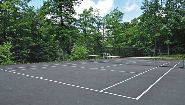 Black Swan by Taylor Made Deep Creek - Foto 3, Servicios del alojamiento