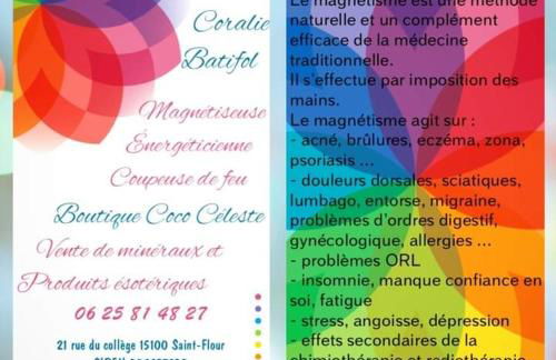 Saint-flour appartement au cœur de la ville - Foto 9