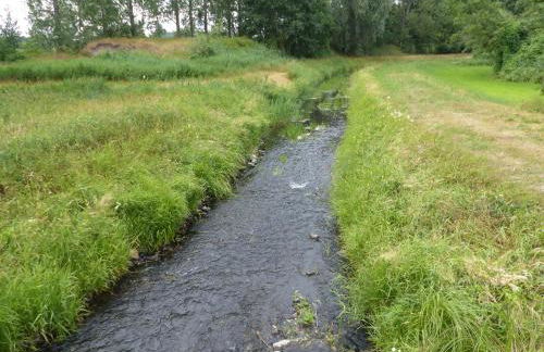 Jagdhaus Franz - Photo 10