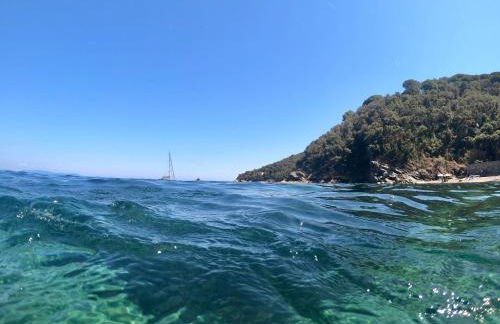 Berenice - Isola D'Elba Apartments - Foto 22