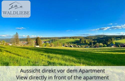 Exklusives 5-Sterne Apartment Waldliebe mit Indoor-Pool, Sauna, top Lage und Ausblick in die Natur, Hunde willkommen - Foto 18