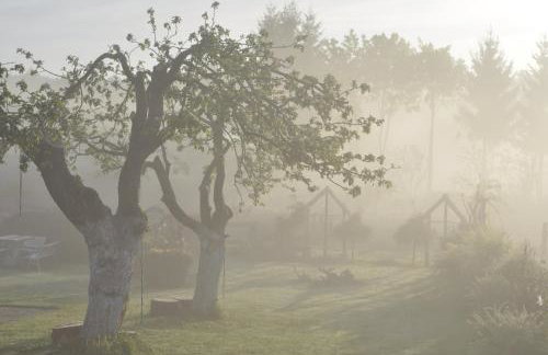Agroturystyka Izba Pod Kasztanem - Foto 12