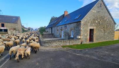 Au Mont De La Rive #Jaccuzi et Mont-Saint-Michel # - Foto 2