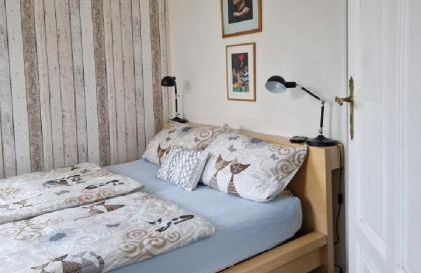 Ferienwohnung im Kunst- und Logierhaus Villa Ihler - Photo 13