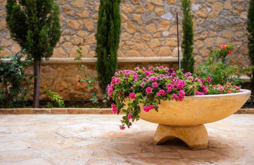 Giovanta Villa - Foto 15