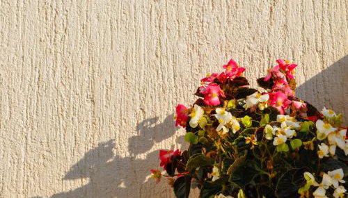 Apartman Anita - Foto 4