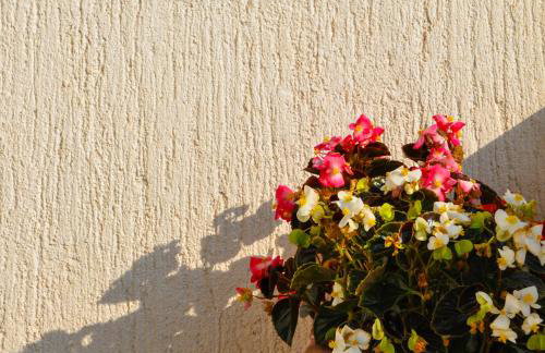 Apartman Anita - Foto 4