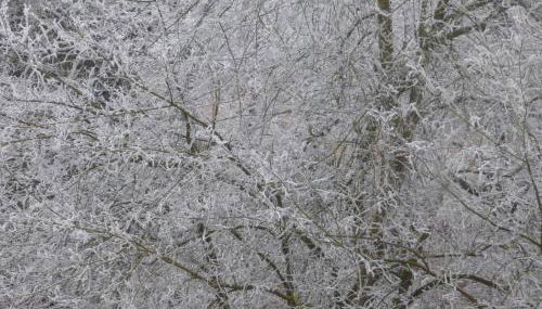 Ferienwohnung Seeblick Nr 1 ,Feldberg Bärental - Foto 5