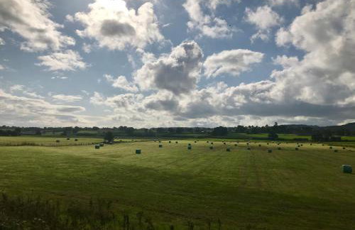 Pheasant Cottage - Foto 23