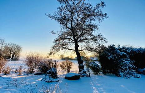 Ferienwohnungen Bosbuell Huus - Foto 47