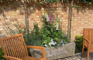 The Menagerie - Photo 18