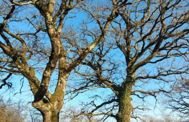 Le Grenier du Moulin - Foto 44