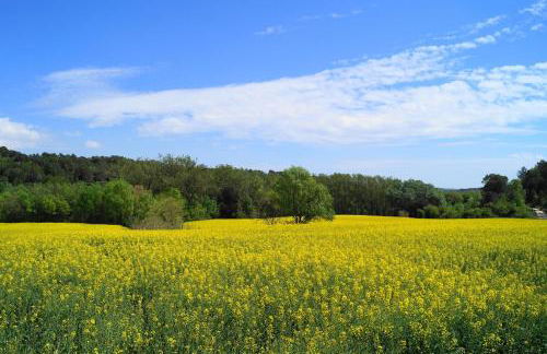 Mas La Casa Nova - Foto 39