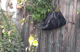 Sommerfrische - Foto 3