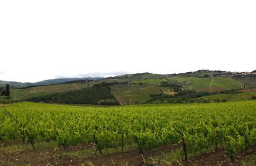 Podere il Poggiolo - Foto 91