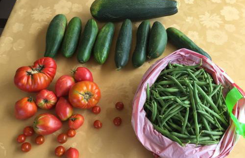 Villa Cecilia - 4 bedrooms, 4 bathrooms, heated inside pool, gym - Photo 40