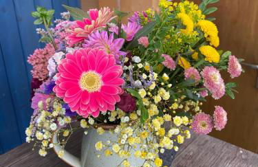 Casita - Sterneferienhaus mit Garten, Sauna und Wallbox - Foto 8