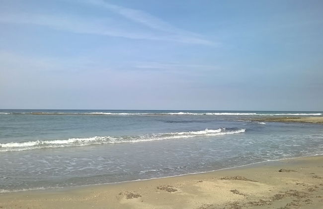 Tenuta Deserto - Foto 67