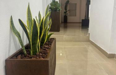 El Olivar de Sol - Foto 15