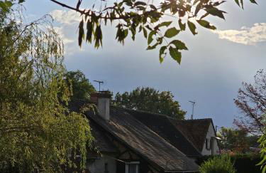 Le nid de l'écureuil - Foto 22