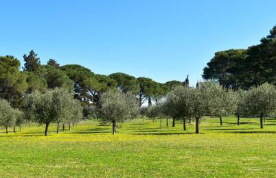 Country Loft at Palazzo di Bagnaia - Foto 31