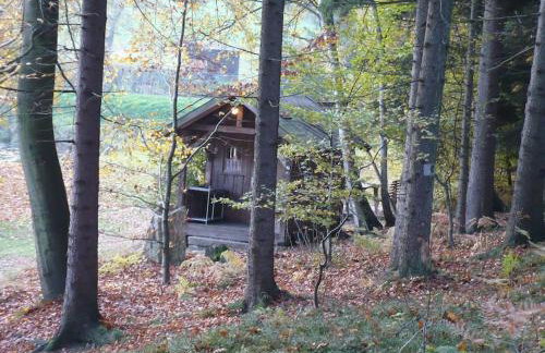 Ferienhof Stöhrmühle - Foto 50