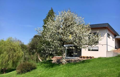 Haagalm Terrasse, Garten - Foto 12