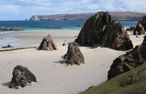 Wallaby’s - Foto 14